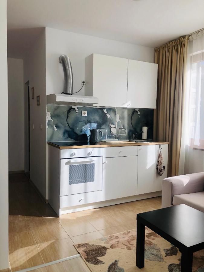 Temerso Studio-Apartment Bansko Exterior photo